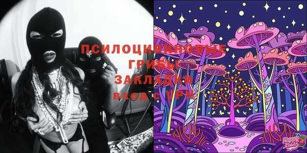 прущий лед Верея