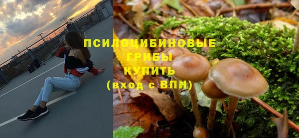 ешки Вязьма