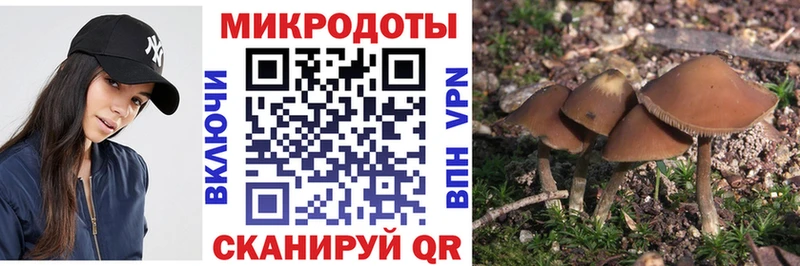Псилоцибиновые грибы мухоморы  хочу наркоту  Дегтярск 